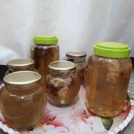 فروش انواع عسل مرکبات. گرده گل و زنبور عسل