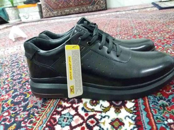 کفش چرم طبیعی پاروپا سایز 40 در گروه خرید و فروش لوازم شخصی در زنجان در شیپور-عکس1