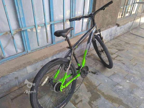 دوچرخه گالانت در گروه خرید و فروش ورزش فرهنگ فراغت در آذربایجان غربی در شیپور-عکس1