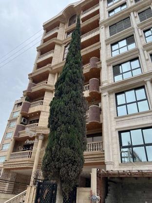 فروش آپارتمان 150 متری امیرکبیر در گروه خرید و فروش املاک در مازندران در شیپور-عکس1