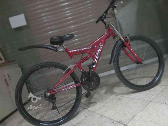 دوچرخه ویوا سالم در گروه خرید و فروش ورزش فرهنگ فراغت در خراسان رضوی در شیپور-عکس1