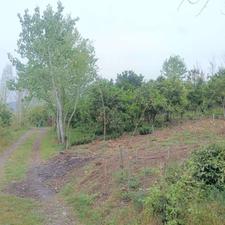 700 متر زمین باغی اطاقور