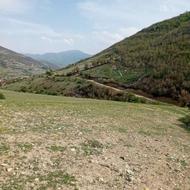 فروش زمین کشاورزی 570 متر در دلسم