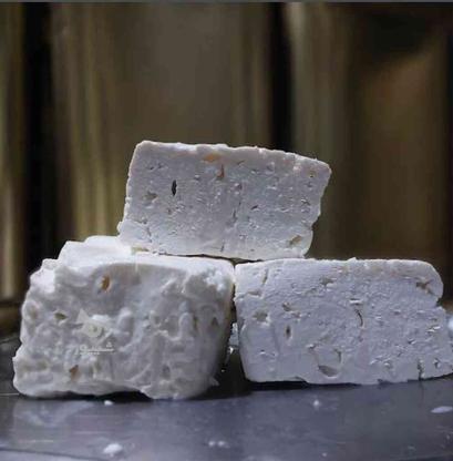 پنیر گوسفندی اعلا عنصرود در گروه خرید و فروش خدمات و کسب و کار در آذربایجان شرقی در شیپور-عکس1