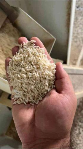 فروش برنج درجه مستقیم از کشاورز