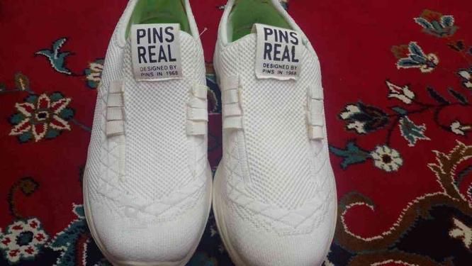 کفش pins real نو آکبند در گروه خرید و فروش لوازم شخصی در گلستان در شیپور-عکس1