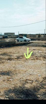 زمین 200 متری محرومین مهدیس پلاک 10 دهی امیدیه در گروه خرید و فروش املاک در خوزستان در شیپور-عکس1