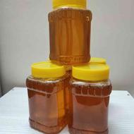 عسل درجه یک طبیعی و تازه