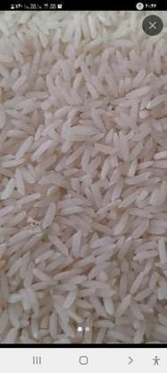 برنج هاشمی درجه یک در گروه خرید و فروش خدمات و کسب و کار در گیلان در شیپور-عکس1