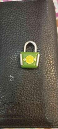 قفل کلکسیونی در گروه خرید و فروش لوازم خانگی در البرز در شیپور-عکس1