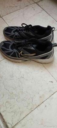 کفش کتانی اورجینال اصل در گروه خرید و فروش لوازم شخصی در البرز در شیپور-عکس1