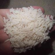 برنج هاشمی تالش