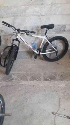 دوچرخه بیست شیش دنده کلاجی سالم در گروه خرید و فروش ورزش فرهنگ فراغت در زنجان در شیپور-عکس1