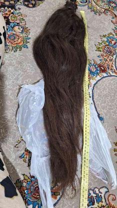 خرید موی طبیعی بانوان در گروه خرید و فروش خدمات و کسب و کار در اصفهان در شیپور-عکس1