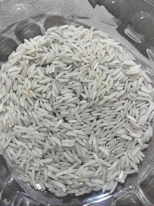برنج طارم هاشمی کشت دوم درجه یک در گروه خرید و فروش خدمات و کسب و کار در مازندران در شیپور-عکس1
