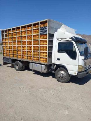 ایسوزو 86 ، 6 تن مرغی در گروه خرید و فروش وسایل نقلیه در البرز در شیپور-عکس1