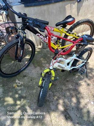 دوچرخه دوتا باهم فروخته میشه سایز 16 با 24 در گروه خرید و فروش ورزش فرهنگ فراغت در گیلان در شیپور-عکس1