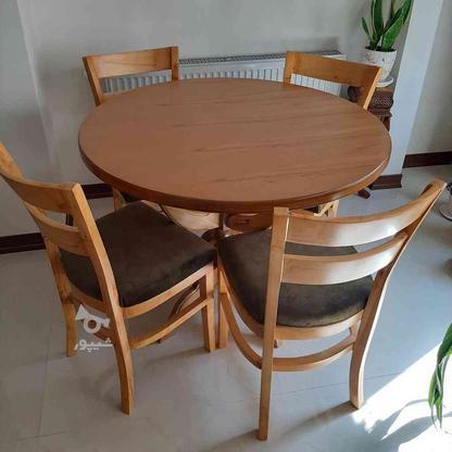 میز و صندلی ناهارخوری در گروه خرید و فروش لوازم خانگی در البرز در شیپور-عکس1