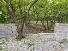 باغچه سند تک برگ مستقل مجزا در بکه440متر در شیپور