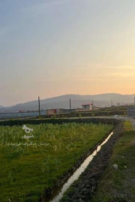 فروش زمین 168 متر در دشت سر در گروه خرید و فروش املاک در مازندران در شیپور-عکس1