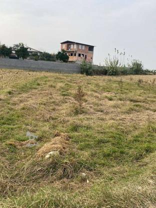 فروش زمینی به مساحت 503 متر الحاق به بافت درویش خاک در گروه خرید و فروش املاک در مازندران در شیپور-عکس1