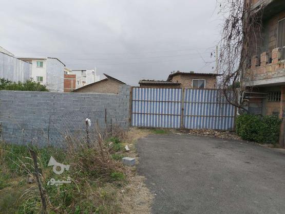 250متر زمین مسکونی در کوی شهید قربانی در گروه خرید و فروش املاک در مازندران در شیپور-عکس1