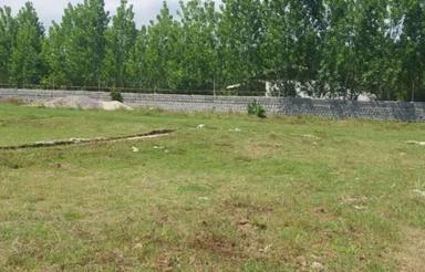 فروش زمین مسکونی 148 متری در وسطی کلا