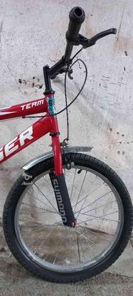 فروش دوچرخه 20 TIGER در گروه خرید و فروش ورزش فرهنگ فراغت در زنجان در شیپور-عکس1