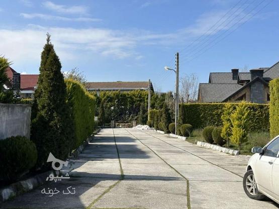 فروش زمین مسکونی 500 متر در سیاهرود در گروه خرید و فروش املاک در مازندران در شیپور-عکس1