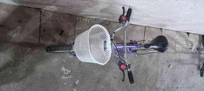 فروش دوچرخه 16 در گروه خرید و فروش ورزش فرهنگ فراغت در زنجان در شیپور-عکس1