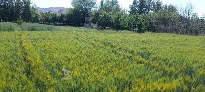 فروش زمین کشاورزی در پیربکران صحرای دستگرد در گروه خرید و فروش املاک در اصفهان در شیپور-عکس1