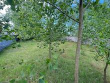 300متر زمین ساحلی 2بر/قابل ساخت در شیپور