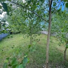 300متر زمین ساحلی 2بر/قابل ساخت