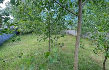 300متر زمین ساحلی 2بر/قابل ساخت