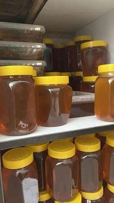 عسل ازتولید به مصرف در گروه خرید و فروش خدمات و کسب و کار در مازندران در شیپور-عکس1