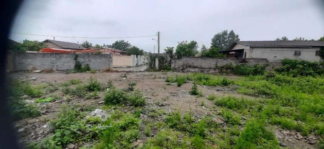 زمین بافت مسکونی با سند تک برگ 560متر در گروه خرید و فروش املاک در مازندران در شیپور-عکس1
