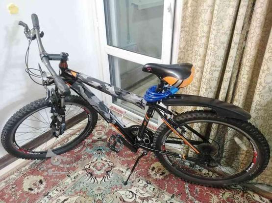 دوچرخه ویوا امگا 2019 درحد نو سایز 26 در گروه خرید و فروش ورزش فرهنگ فراغت در تهران در شیپور-عکس1