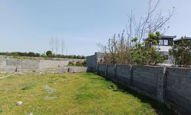 فوری زمین 190 متری زیر قیمت در گروه خرید و فروش املاک در مازندران در شیپور-عکس1