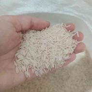 برنج فجر سورزنی