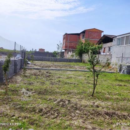 فروش زمین مسکونی 100 متر در نظام آباد در گروه خرید و فروش املاک در مازندران در شیپور-عکس1