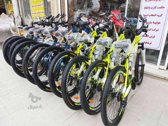 دوچرخه حرفه ای جاینت در گروه خرید و فروش ورزش فرهنگ فراغت در اصفهان در شیپور-عکس1
