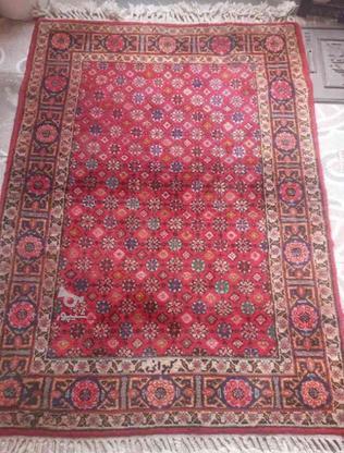 فرش دستبافت قالیچه قدیمی 2عدد قابل استفاده در گروه خرید و فروش لوازم خانگی در آذربایجان شرقی در شیپور-عکس1