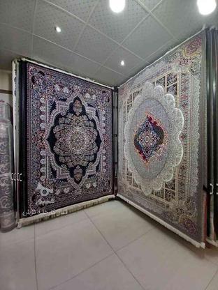 فرش آکبند امکان بازدید حضوری و خرید اینترنتی در گروه خرید و فروش لوازم خانگی در تهران در شیپور-عکس1