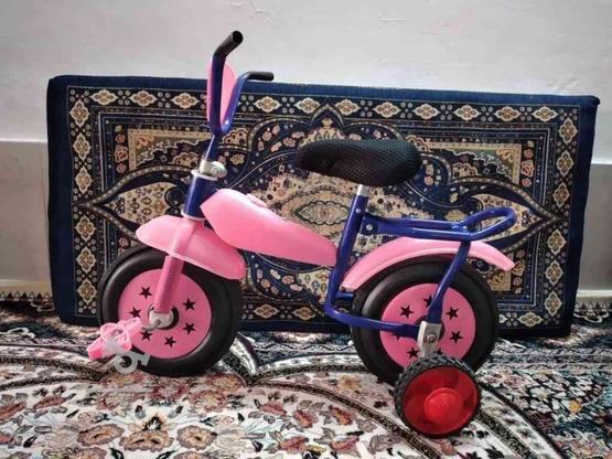 دوچرخه سالم در گروه خرید و فروش ورزش فرهنگ فراغت در خراسان رضوی در شیپور-عکس1