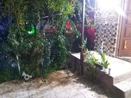 اجاره کوتاه مدت ویلایی دربست در گروه خرید و فروش املاک در مازندران در شیپور-عکس1