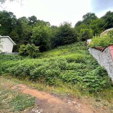 زمین 606 متری در دل جنگل 10 دقیقه ای لاهیجان