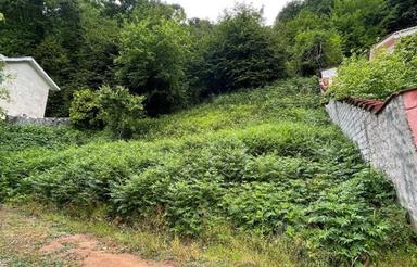 زمین 606 متری در دل جنگل 10 دقیقه ای لاهیجان