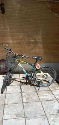 دوچرخه ژتان در گروه خرید و فروش ورزش فرهنگ فراغت در اصفهان در شیپور-عکس1