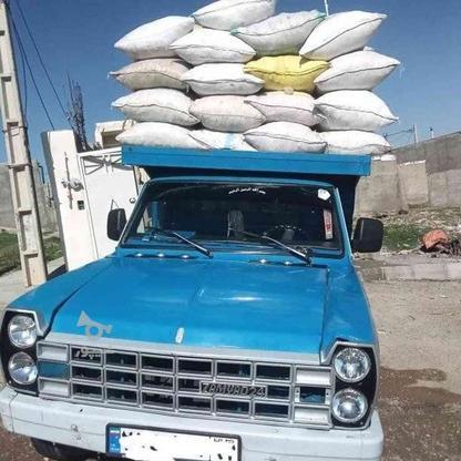 نان خشک تمیز پاک شده زنجان در گروه خرید و فروش خدمات و کسب و کار در مرکزی در شیپور-عکس1