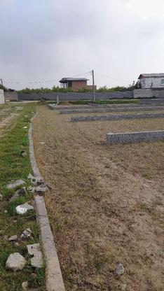 فروش زمین مسکونی آماده ساخت در گروه خرید و فروش املاک در مازندران در شیپور-عکس1